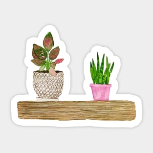 First Houseplants Sticker